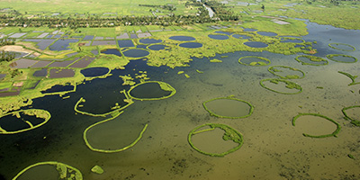 Loktak Lake